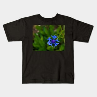 Blue cornflower herb flower head Kids T-Shirt